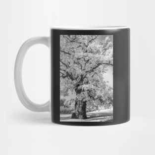 Mono Sandringham #4 Mug